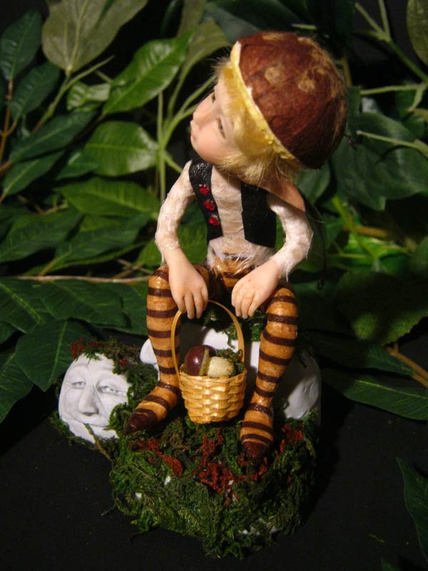 Livio Fairie Pixie e i Funghi